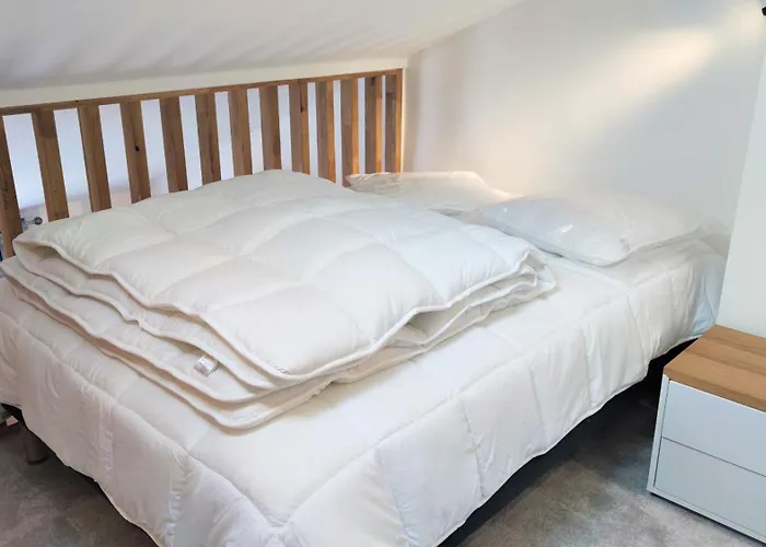 Apartman Lamartine Hypercentre 511 *